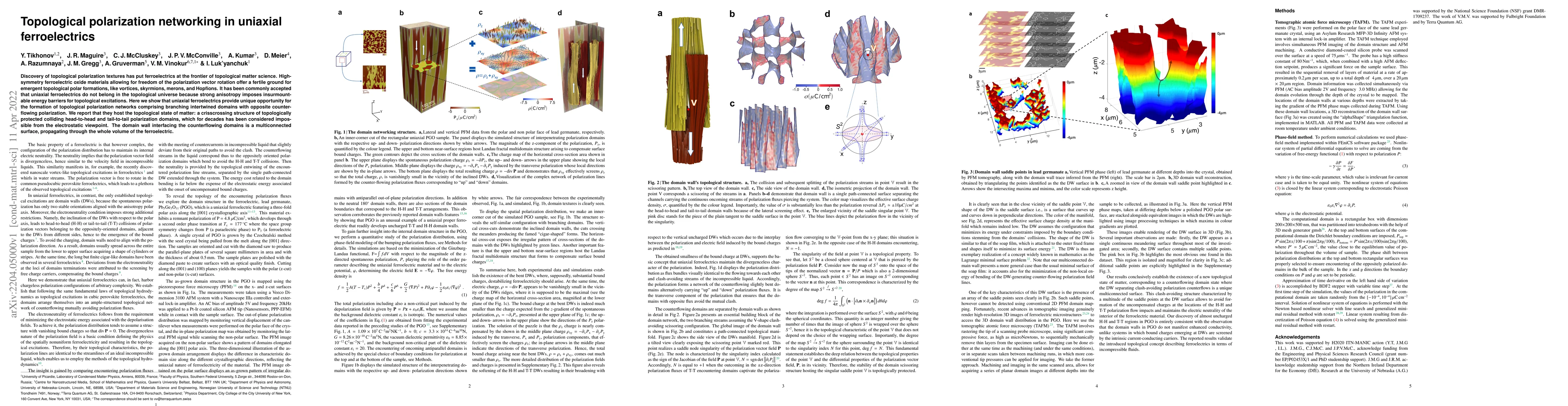 Thumbnail for Topological polarization networking in uniaxial ferroelectrics