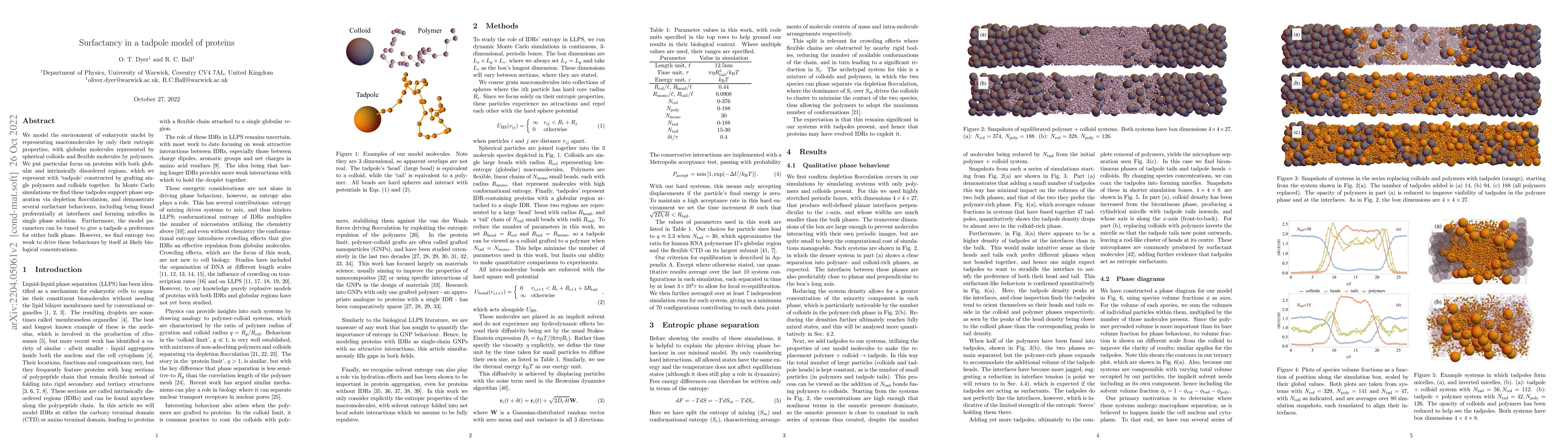 Thumbnail for Surfactancy in a tadpole model of proteins