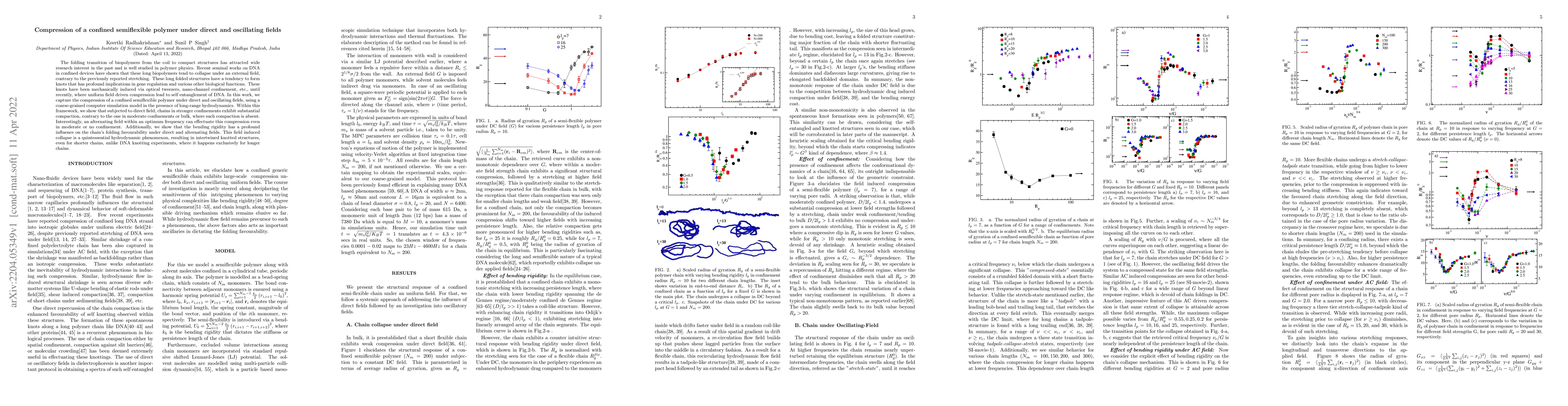 Thumbnail for Compression of a confined semiflexible polymer under direct and
  oscillating fields