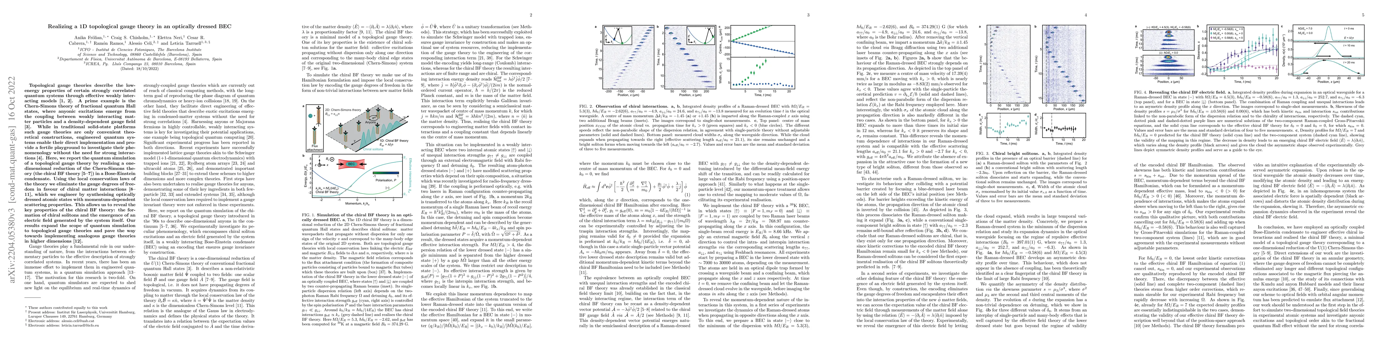 Thumbnail for Realizing a 1D topological gauge theory in an optically dressed BEC