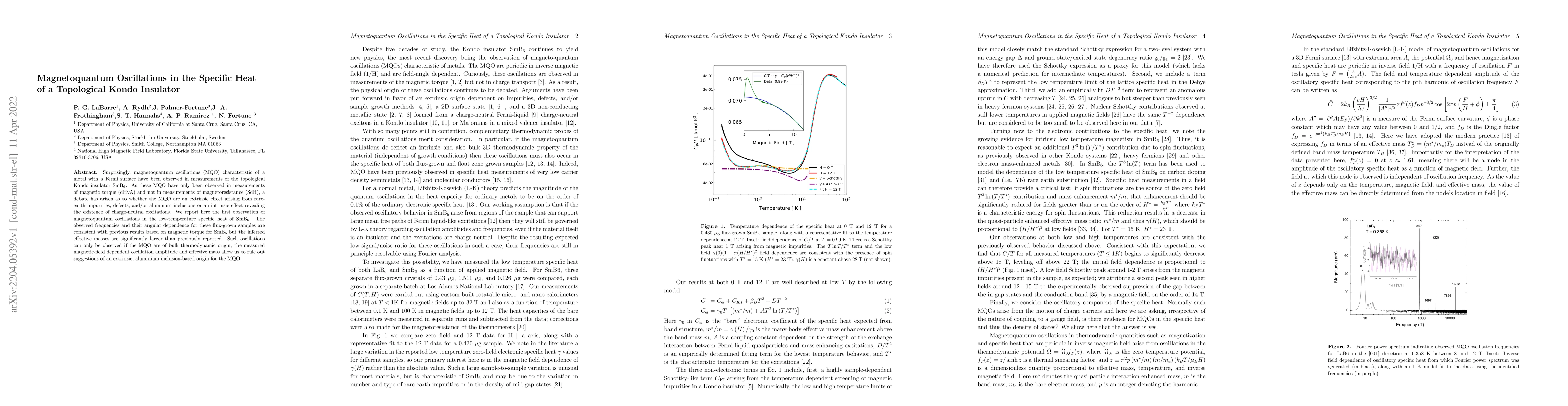Thumbnail for Magnetoquantum Oscillations in the Specific Heat of a Topological Kondo
  Insulator