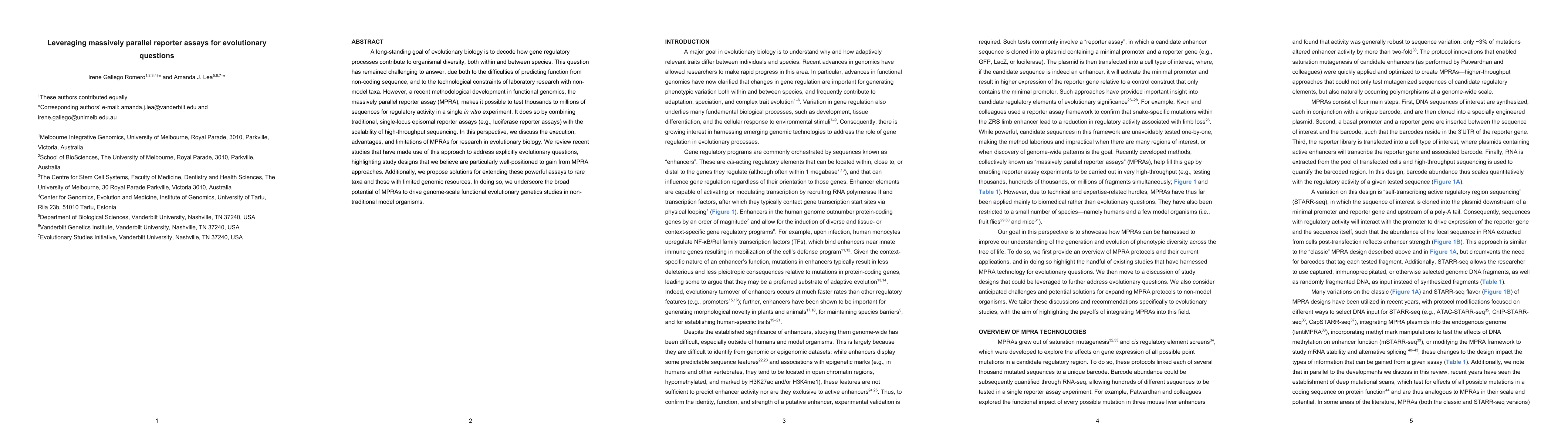 Thumbnail for Leveraging massively parallel reporter assays for evolutionary questions