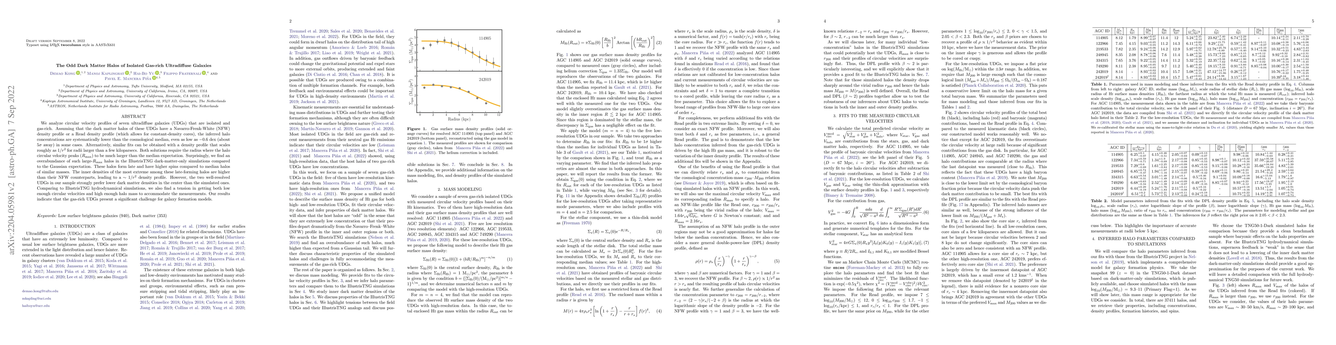 Thumbnail for The Odd Dark Matter Halos of Isolated Gas-rich Ultradiffuse Galaxies