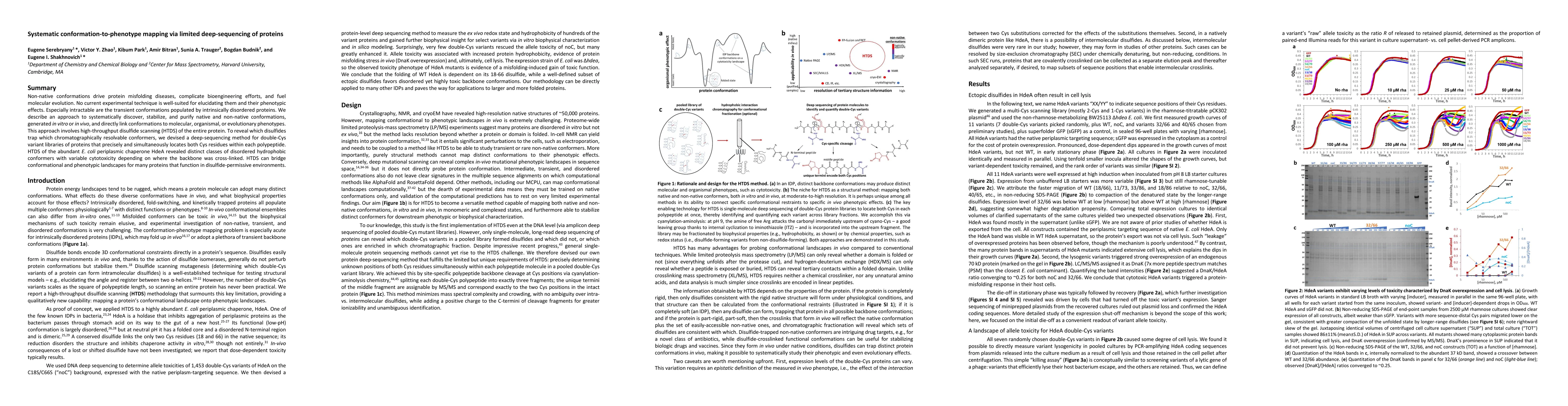 Thumbnail for Systematic conformation-to-phenotype mapping via limited deep-sequencing
  of proteins