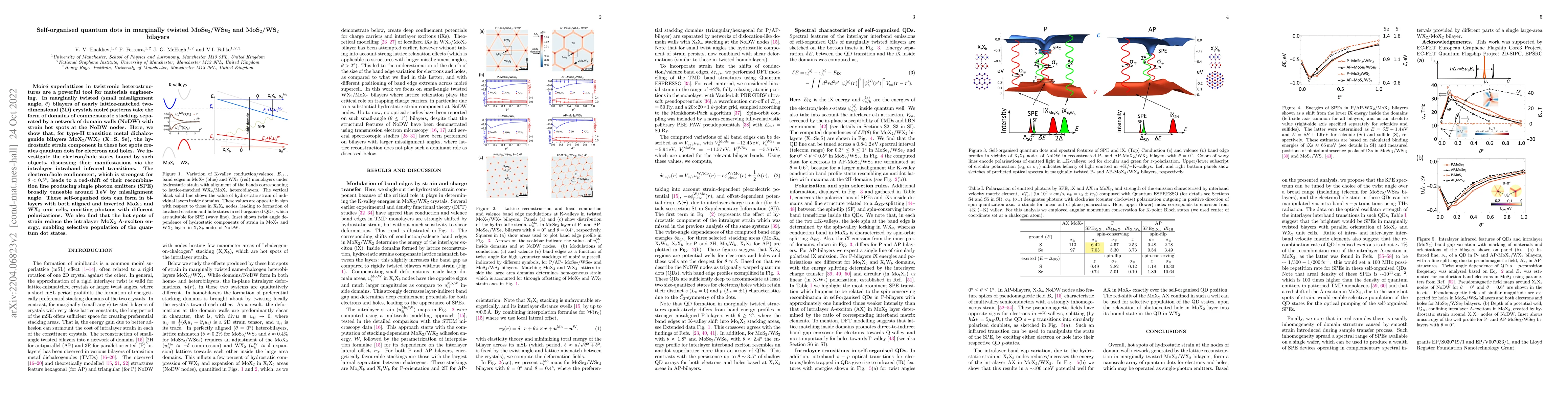 Thumbnail for Self-organised quantum dots in marginally twisted MoSe$_2$/WSe$_2$ and
  MoS$_2$/WS$_2$ bilayers