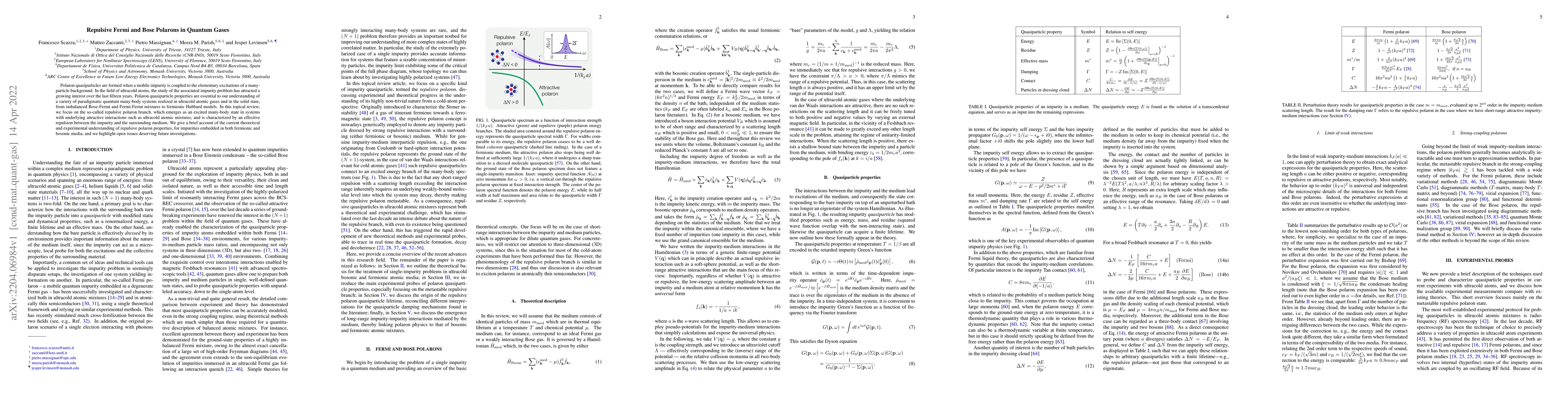 Thumbnail for Repulsive Fermi and Bose Polarons in Quantum Gases