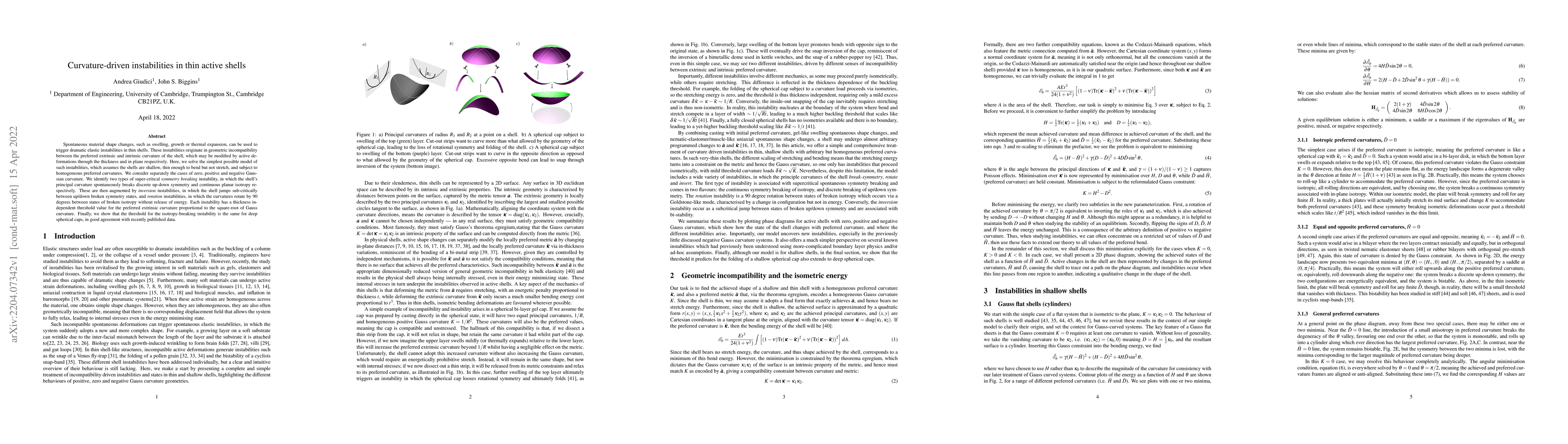 Thumbnail for Curvature-driven instabilities in thin active shells
