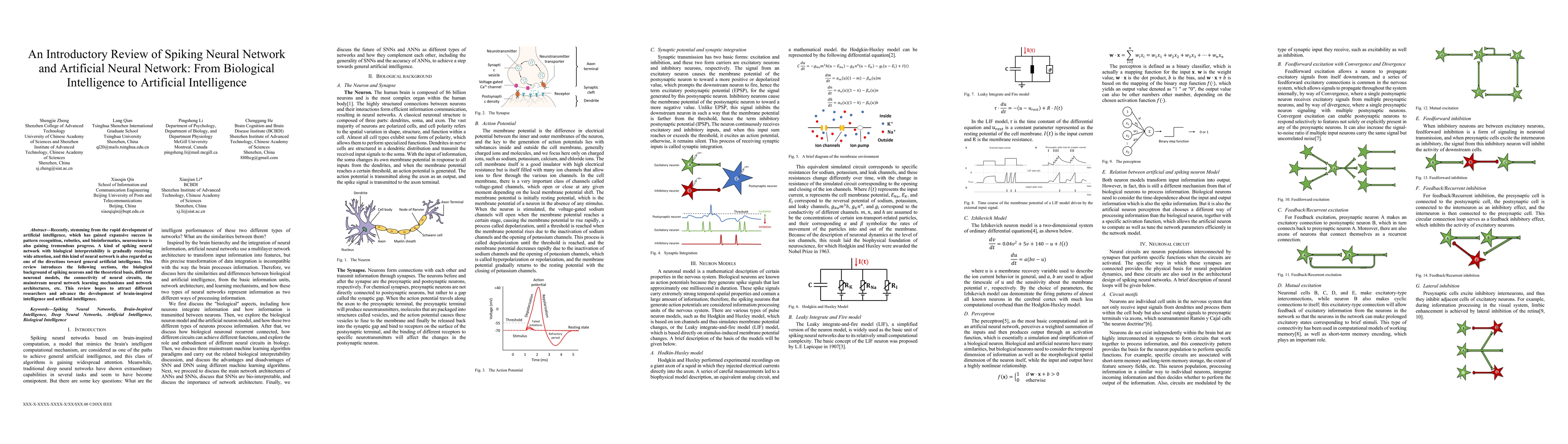 Thumbnail for An Introductory Review of Spiking Neural Network and Artificial Neural
  Network: From Biological Intelligence to Artificial Intelligence