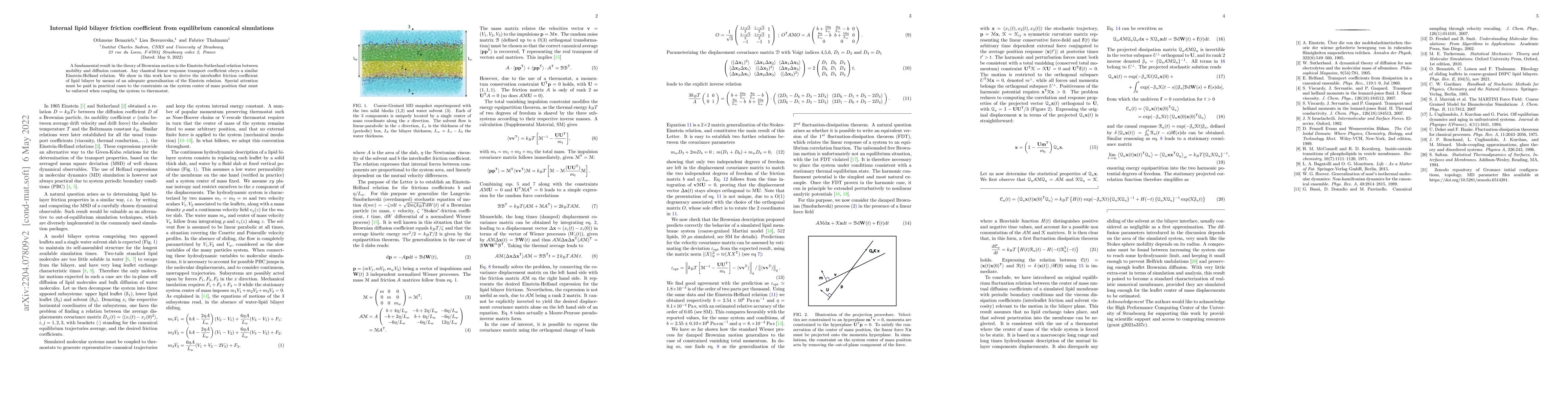 Thumbnail for Internal lipid bilayer friction coefficient from equilibrium canonical
  simulations