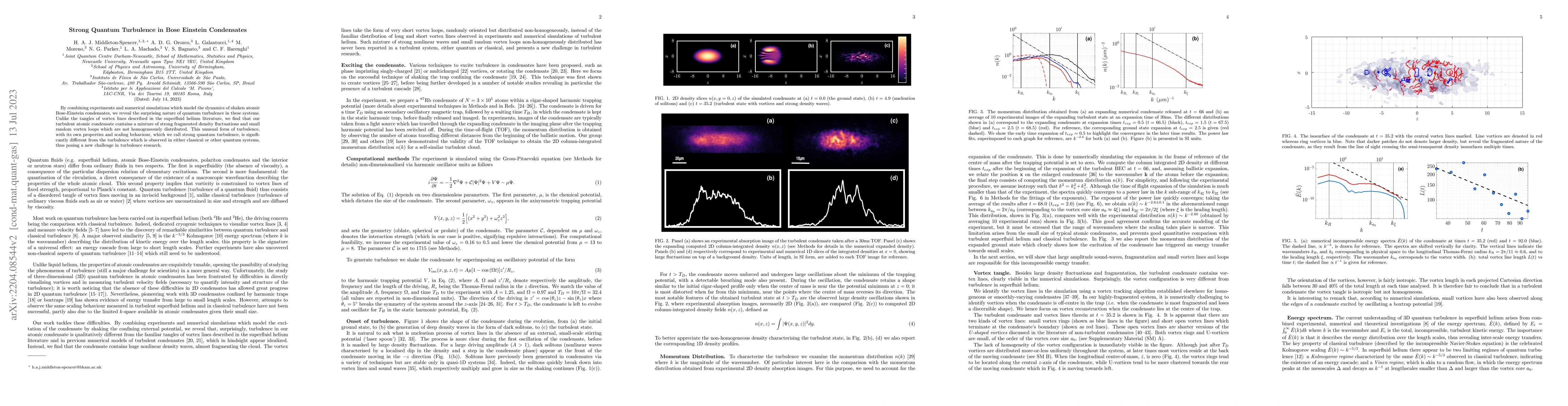 Thumbnail for Strong Quantum Turbulence in Bose Einstein Condensates