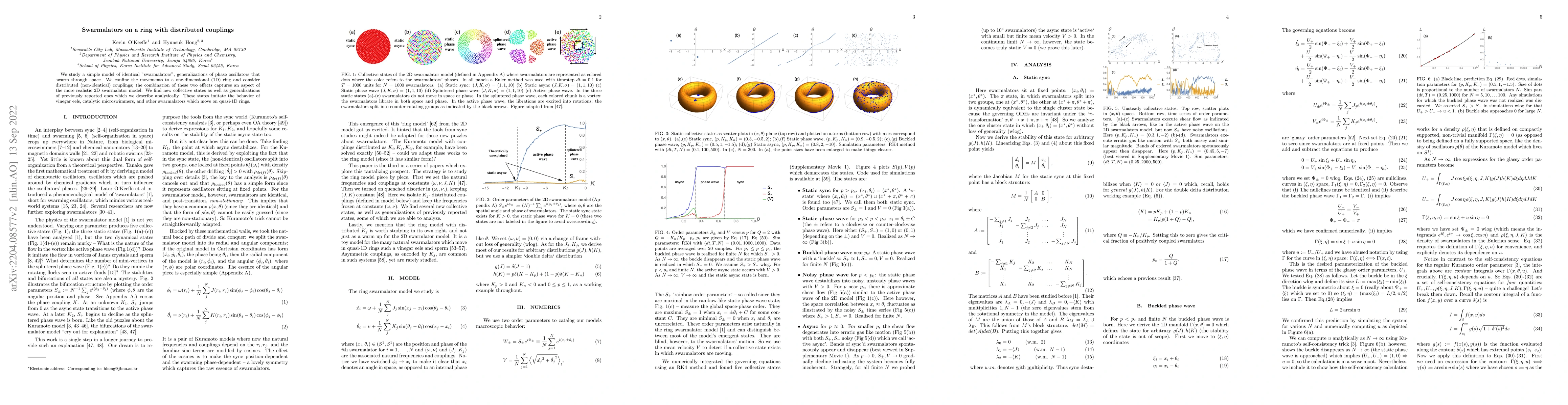 Thumbnail for Swarmalators on a ring with distributed couplings
