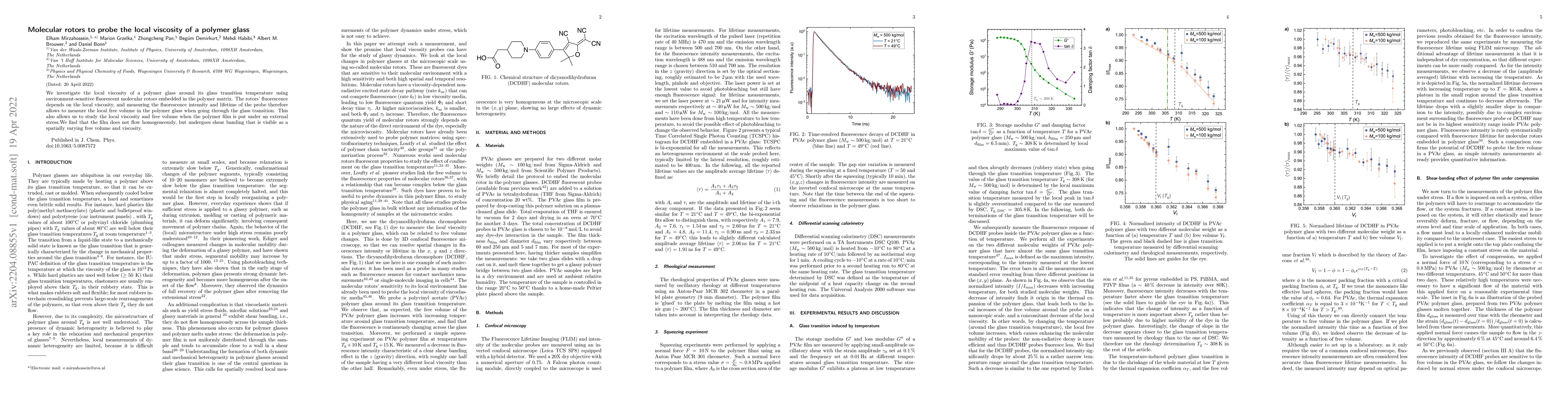 Thumbnail for Molecular rotors to probe the local viscosity of a polymer glass