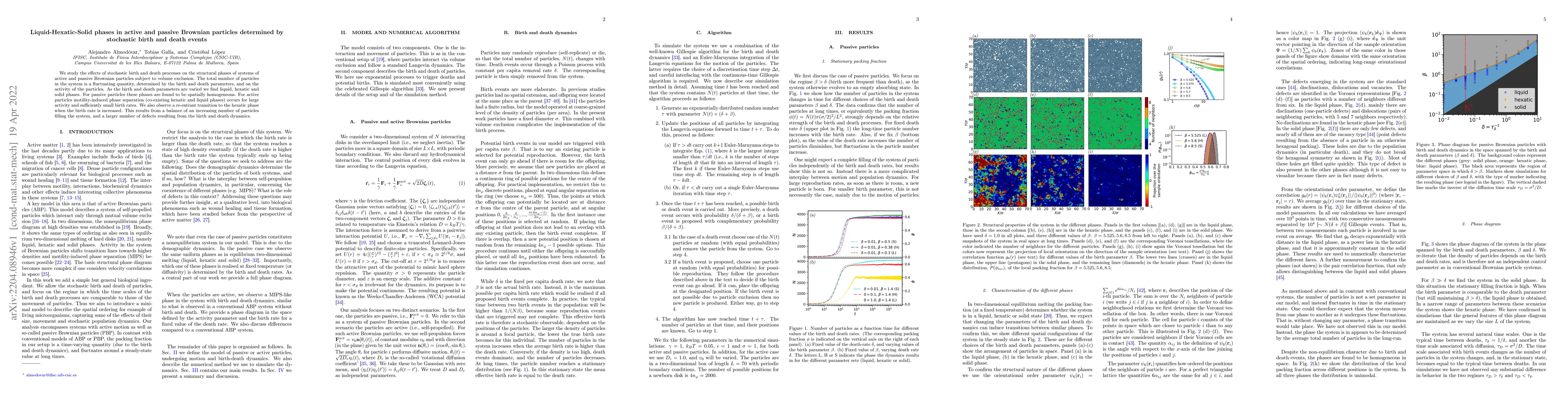 Thumbnail for Liquid-Hexatic-Solid phases in active and passive Brownian particles
  determined by stochastic birth and death events