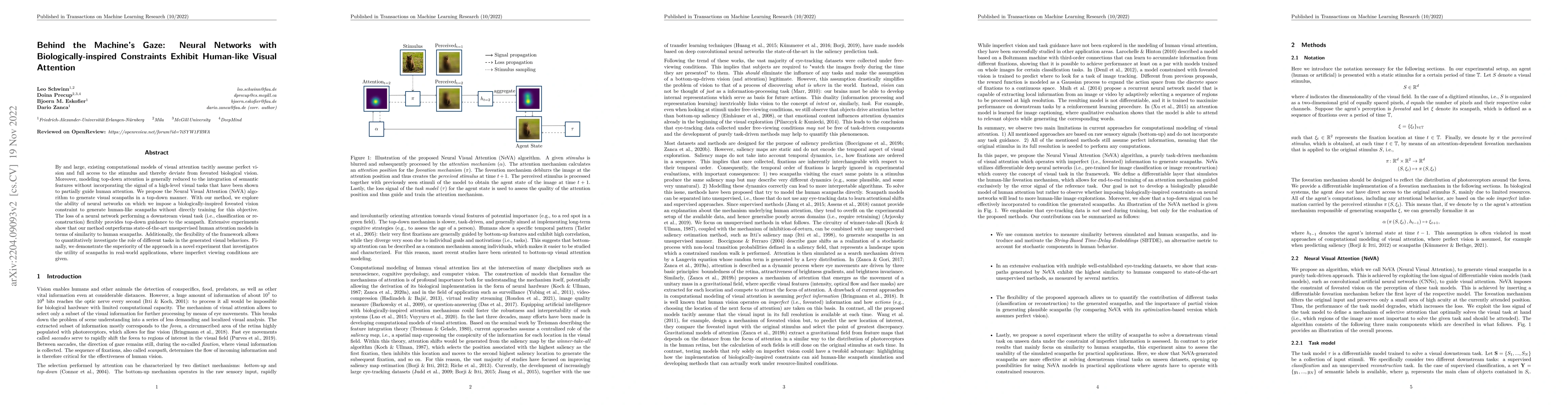 Thumbnail for Behind the Machine's Gaze: Neural Networks with Biologically-inspired
  Constraints Exhibit Human-like Visual Attention