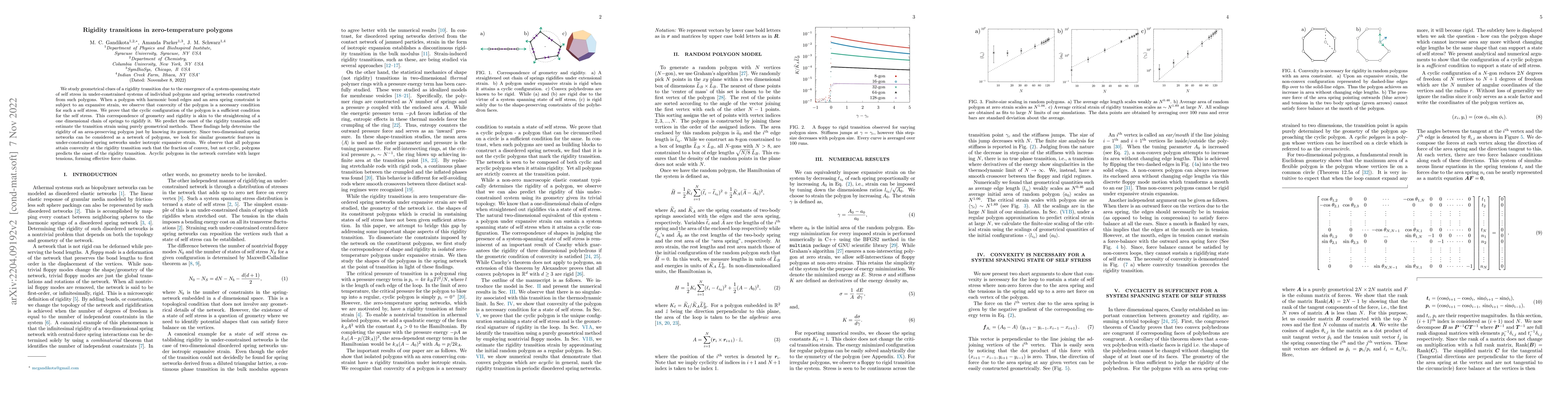 Thumbnail for Rigidity transitions in zero-temperature polygons