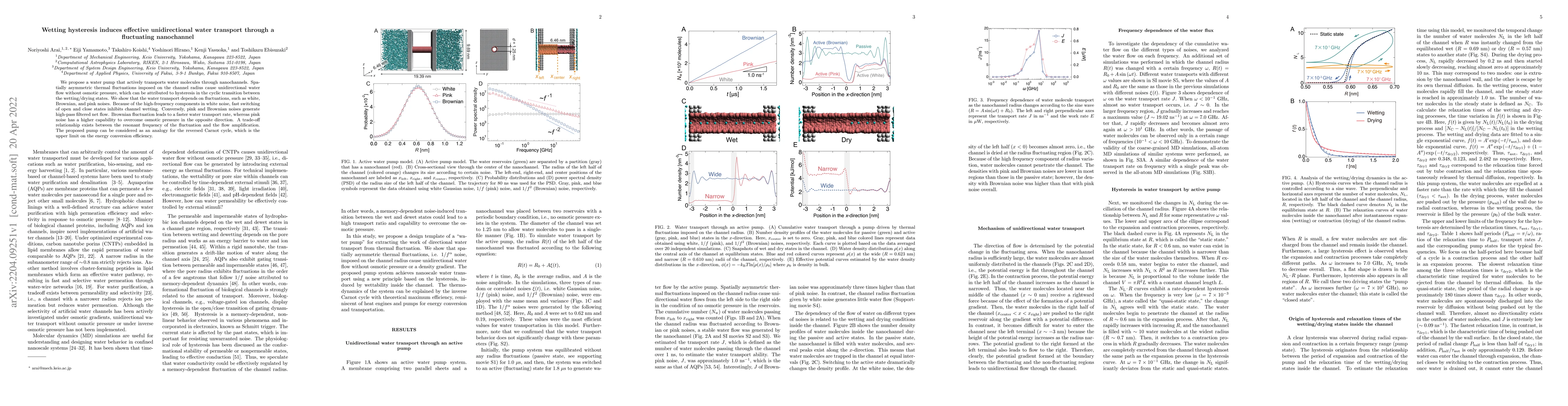 Thumbnail for Wetting hysteresis induces effective unidirectional water transport
  through a fluctuating nanochannel