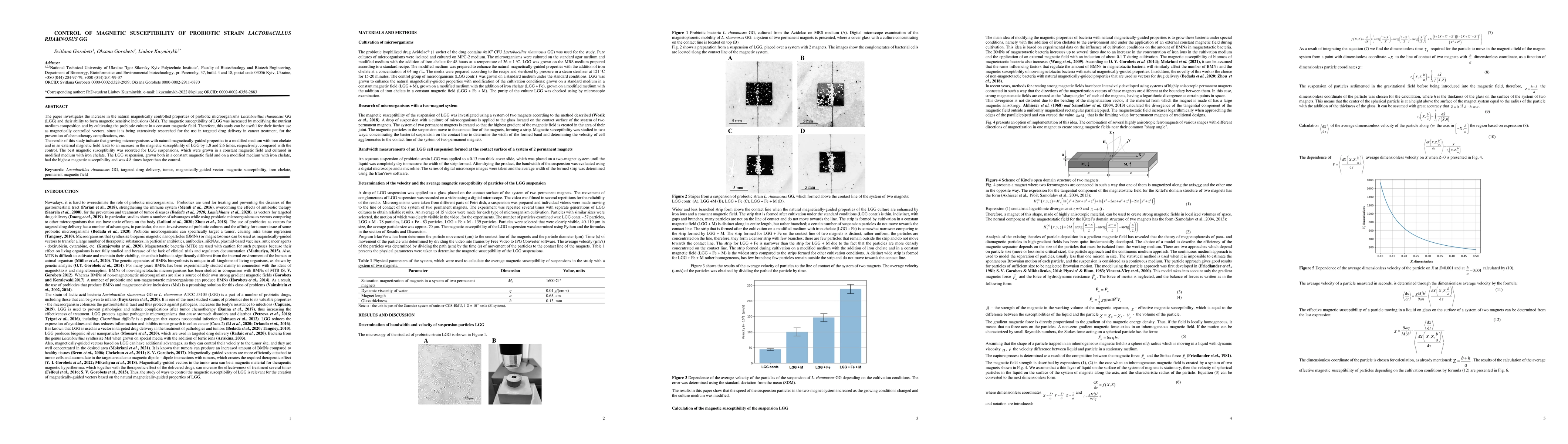 Thumbnail for Control of magnetic susceptibility of probiotic strain Lactobacillus
  Rhamnosus GG