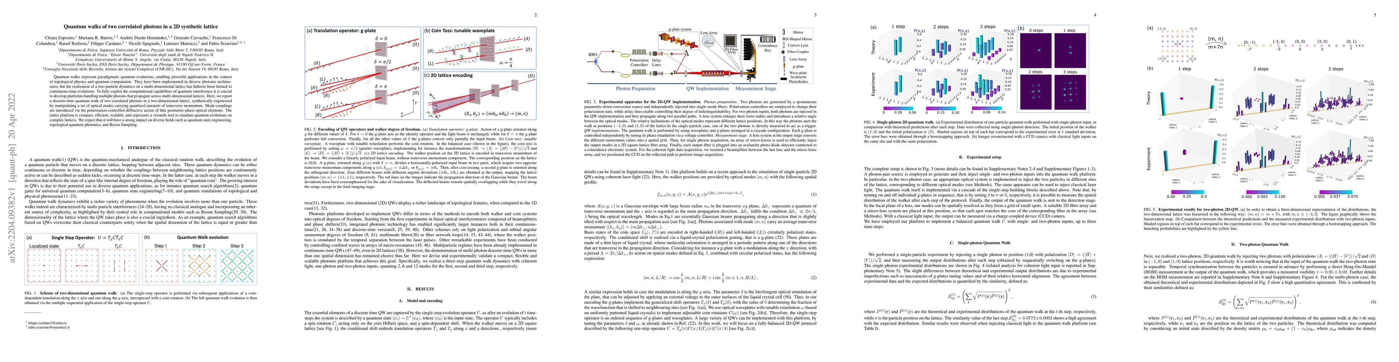 Thumbnail for Quantum walks of two correlated photons in a 2D synthetic lattice