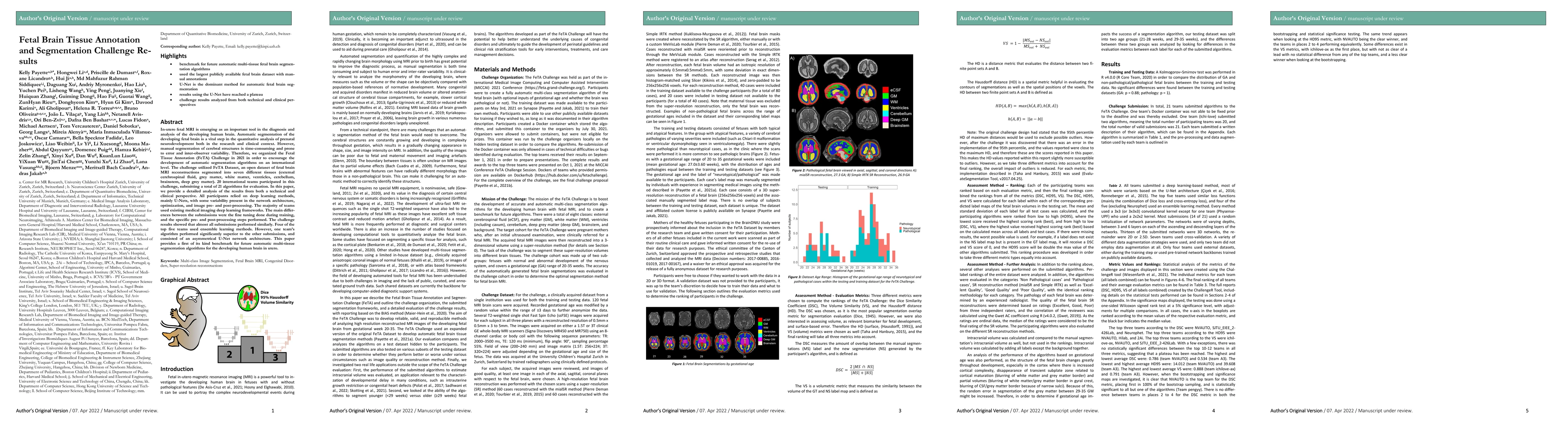 Thumbnail for Fetal Brain Tissue Annotation and Segmentation Challenge Results