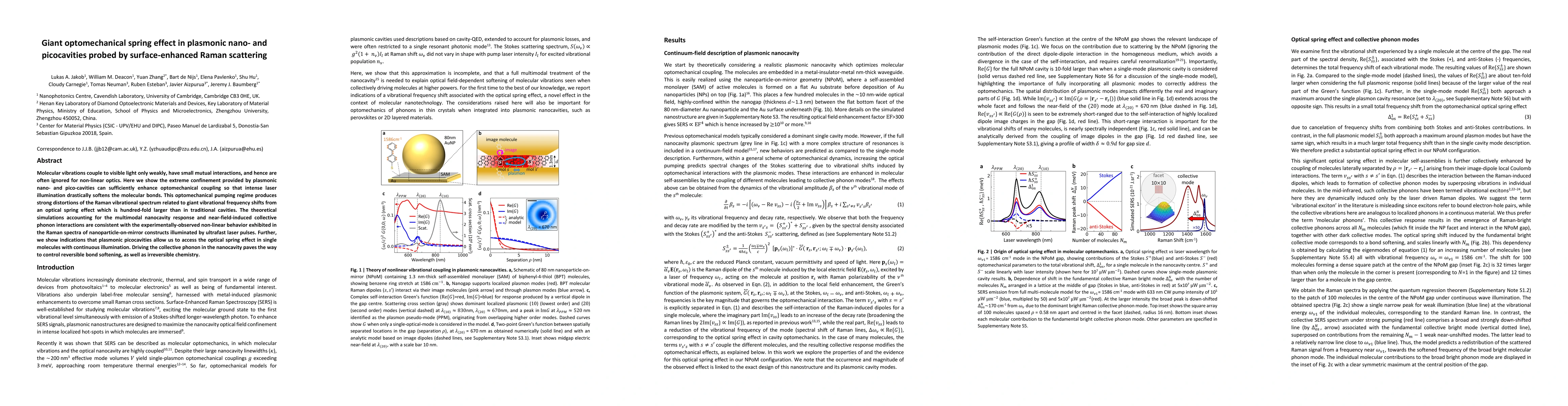 Thumbnail for Giant optomechanical spring effect in plasmonic nano- and picocavities
  probed by surface-enhanced Raman scattering