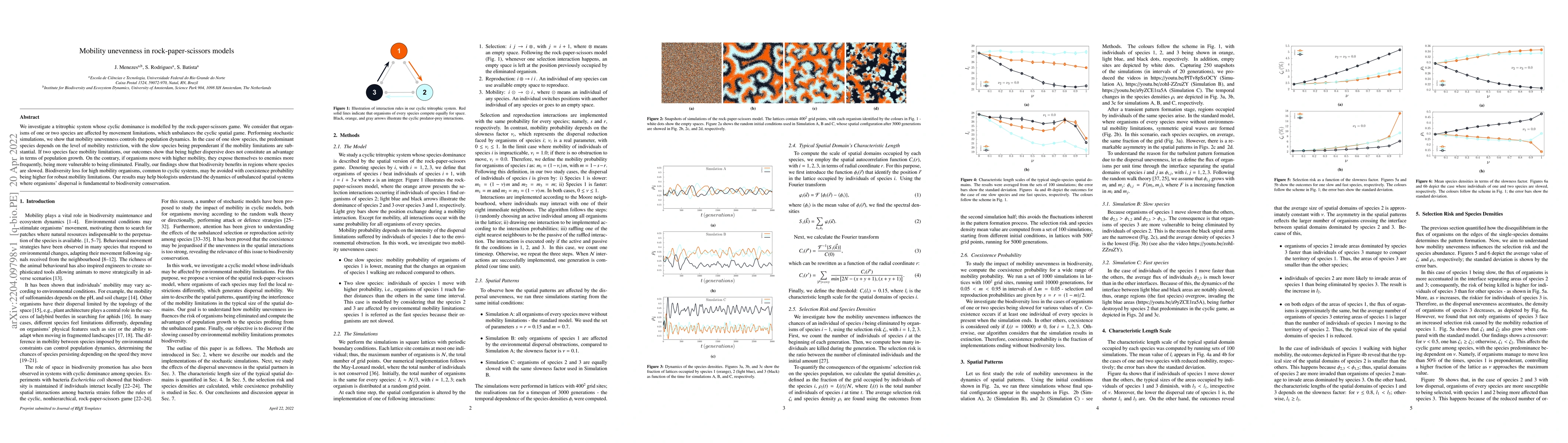 Thumbnail for Mobility unevenness in rock-paper-scissors models