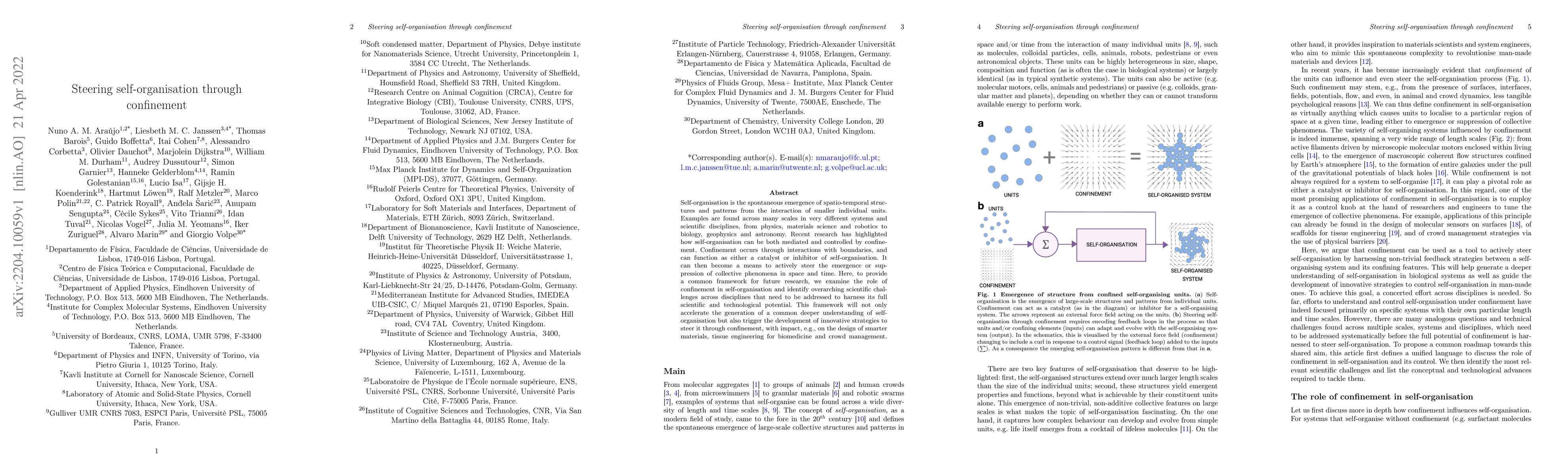 Thumbnail for Steering self-organisation through confinement