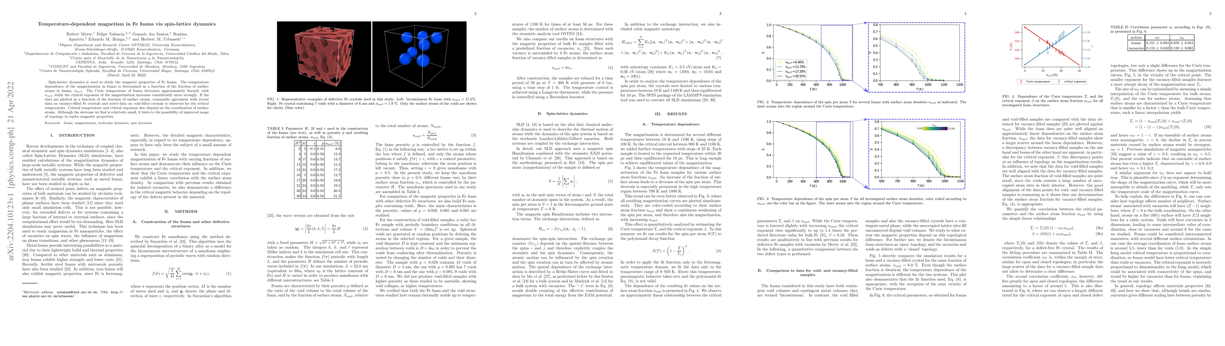 Thumbnail for Temperature-dependent magnetism in Fe foams via spin-lattice dynamics