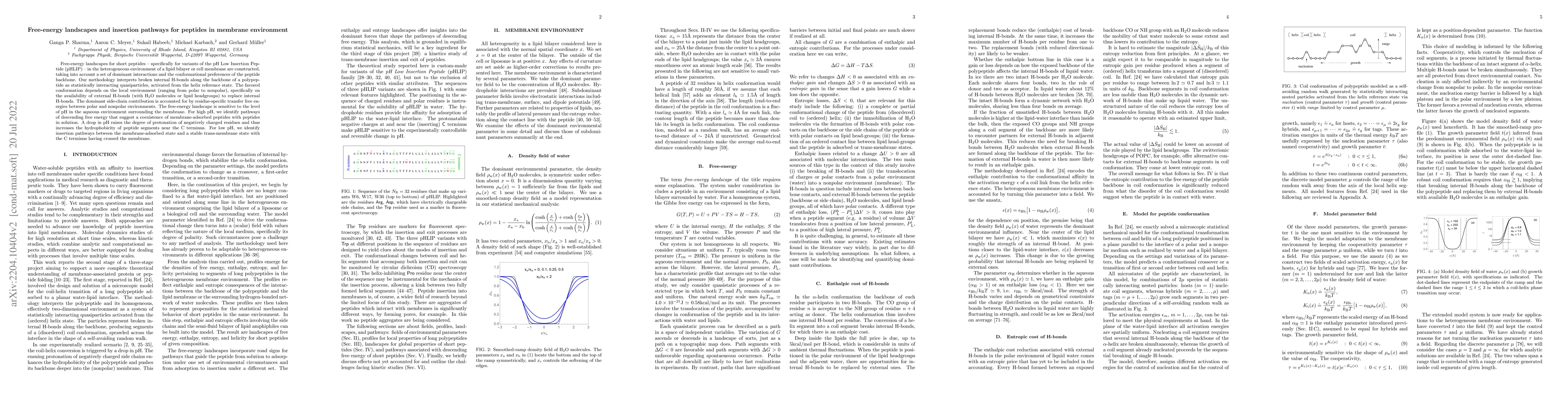 Thumbnail for Free-energy landscapes and insertion pathways for peptides in membrane
  environment