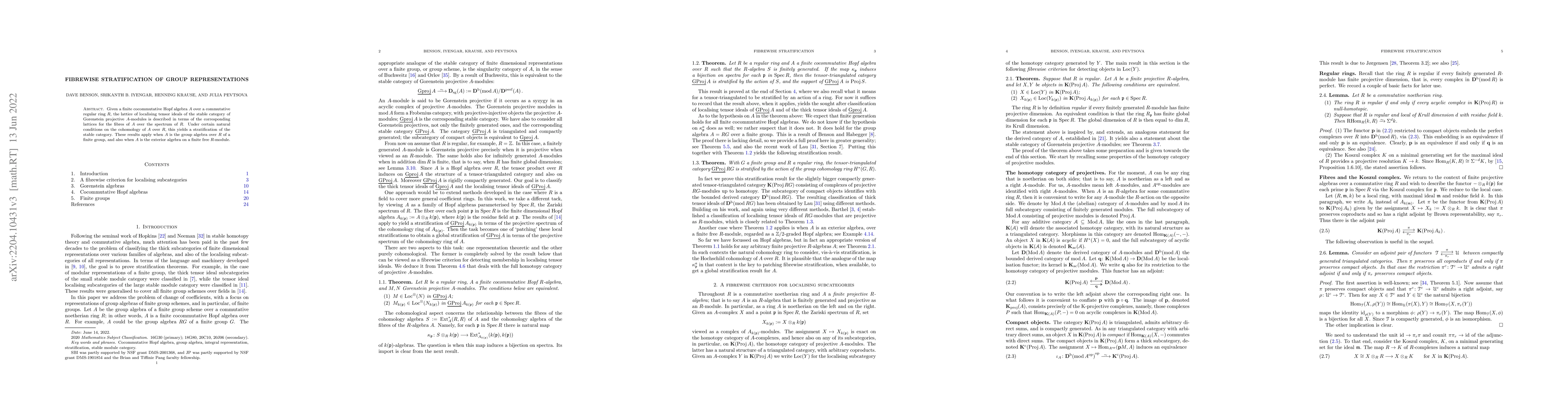 Thumbnail for Fibrewise stratification of group representations