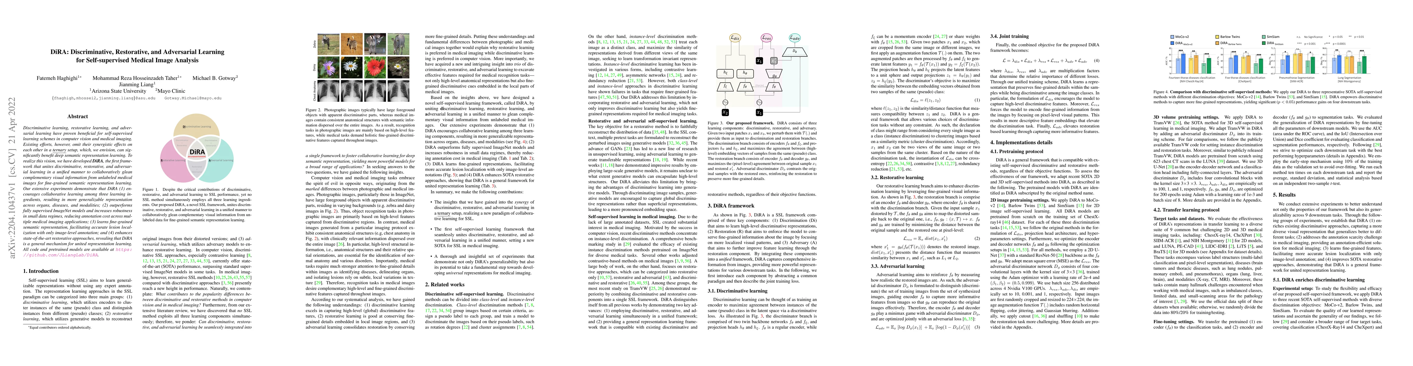 Thumbnail for DiRA: Discriminative, Restorative, and Adversarial Learning for
  Self-supervised Medical Image Analysis