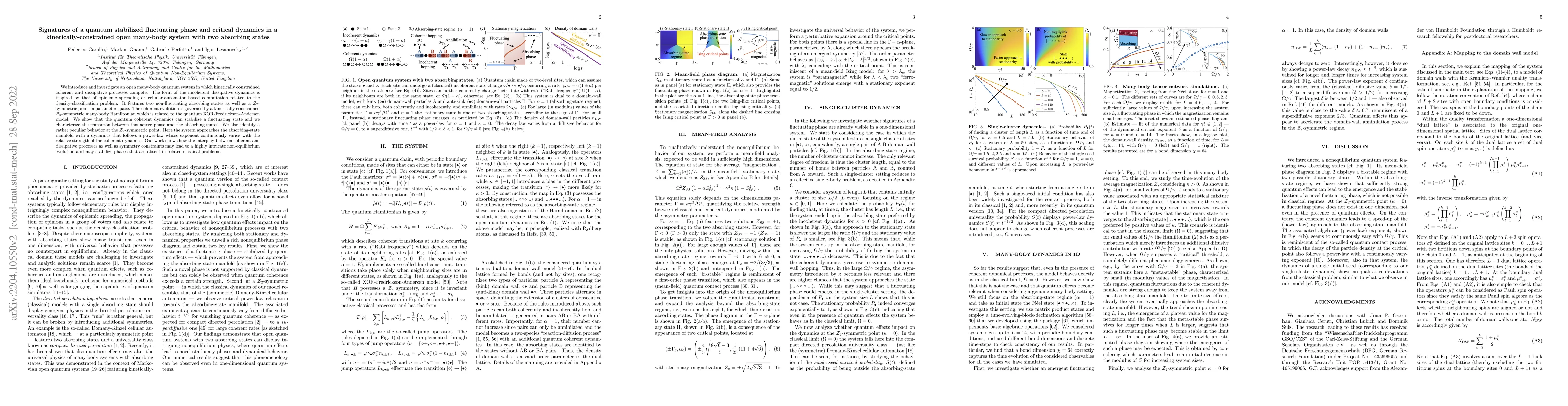 Thumbnail for Signatures of a quantum stabilized fluctuating phase and critical
  dynamics in a kinetically-constrained open many-body system with two
  absorbing states