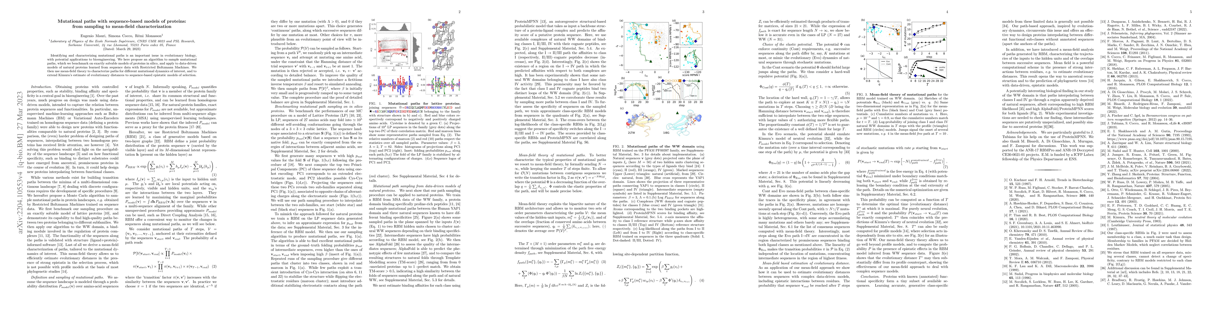 Thumbnail for Mutational paths with sequence-based models of proteins: from sampling
  to mean-field characterisation