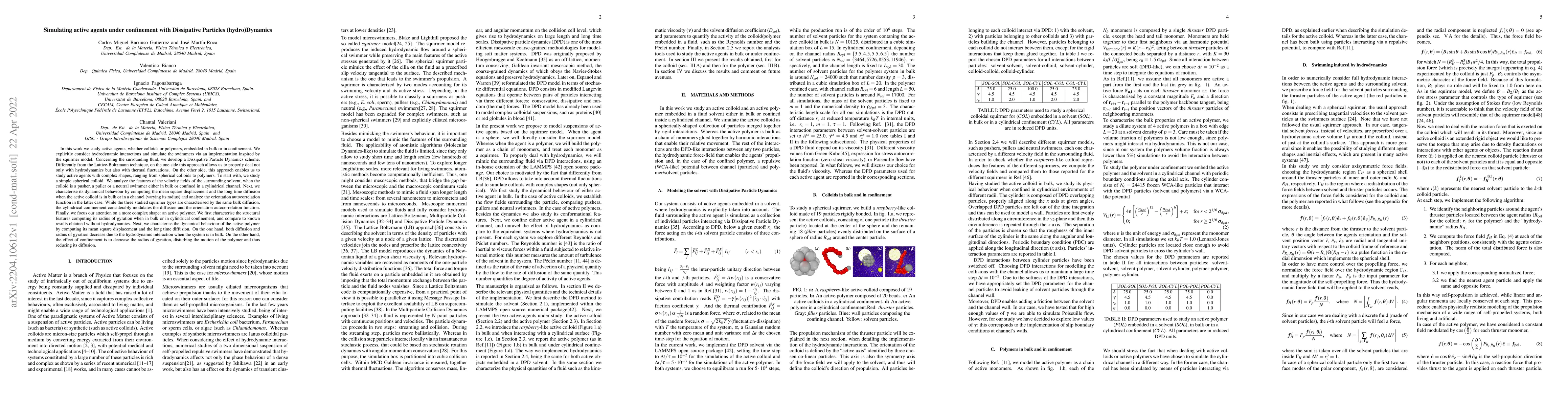 Thumbnail for Simulating active agents under confinement with Dissipative Particles
  (hydro)Dynamics