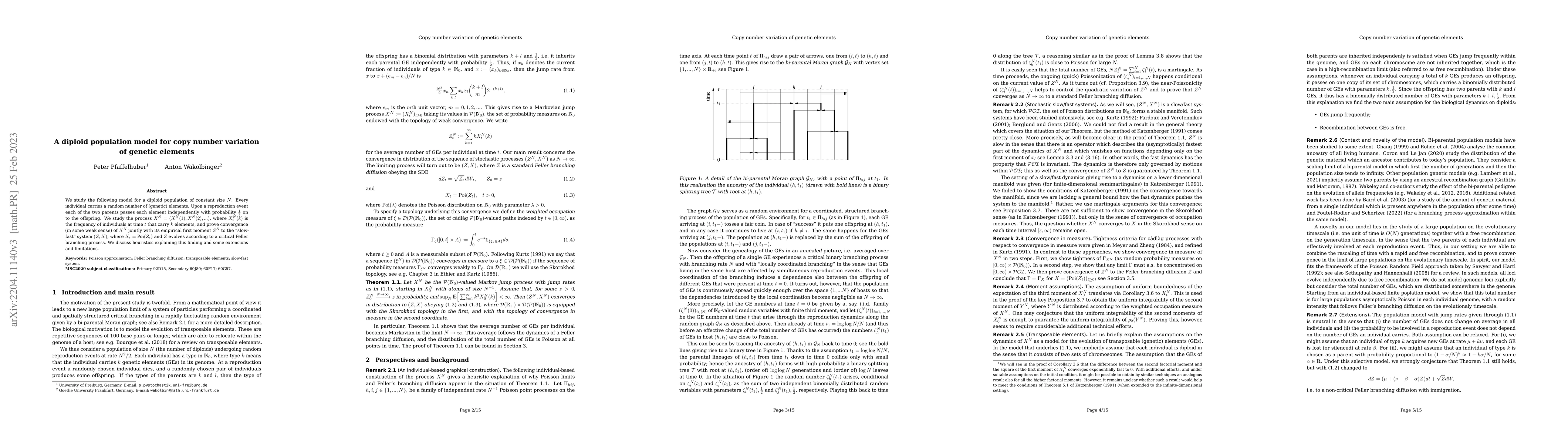 Thumbnail for A diploid population model for copy number variation of genetic elements