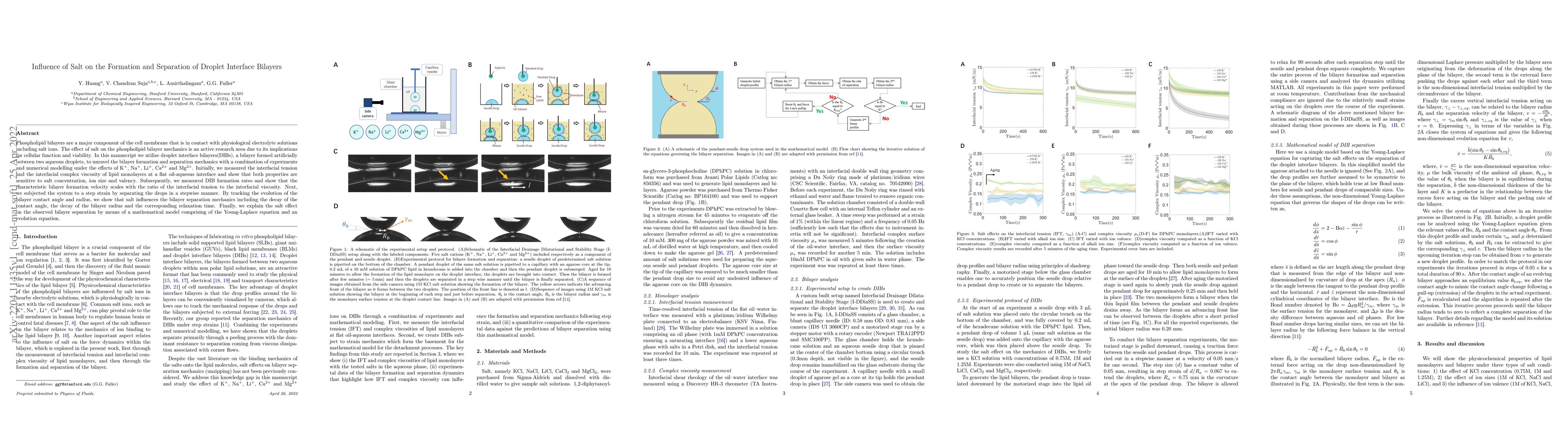 Thumbnail for Influence of Salt on the Formation and Separation of Droplet Interface
  Bilayers
