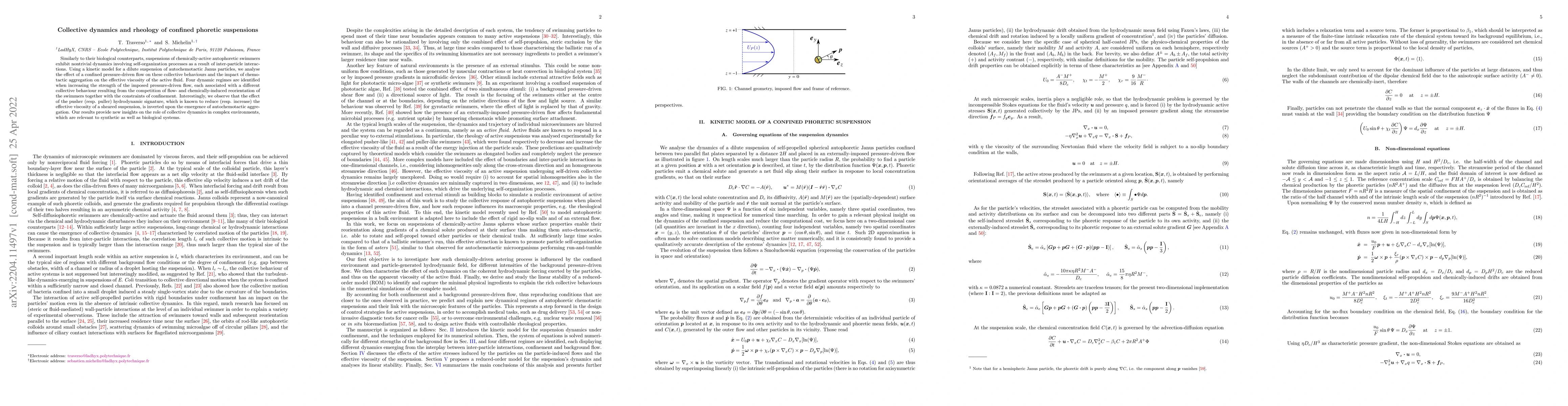 Thumbnail for Collective dynamics and rheology of confined phoretic suspensions