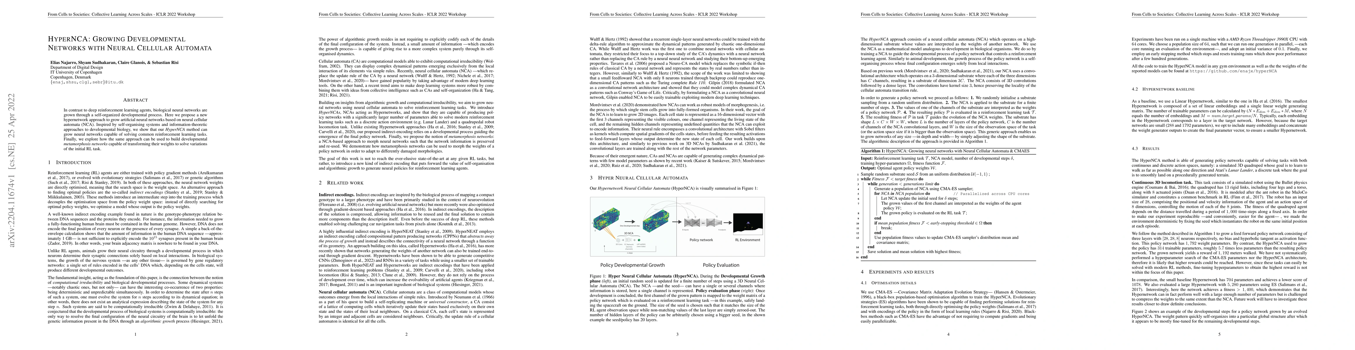 Thumbnail for HyperNCA: Growing Developmental Networks with Neural Cellular Automata