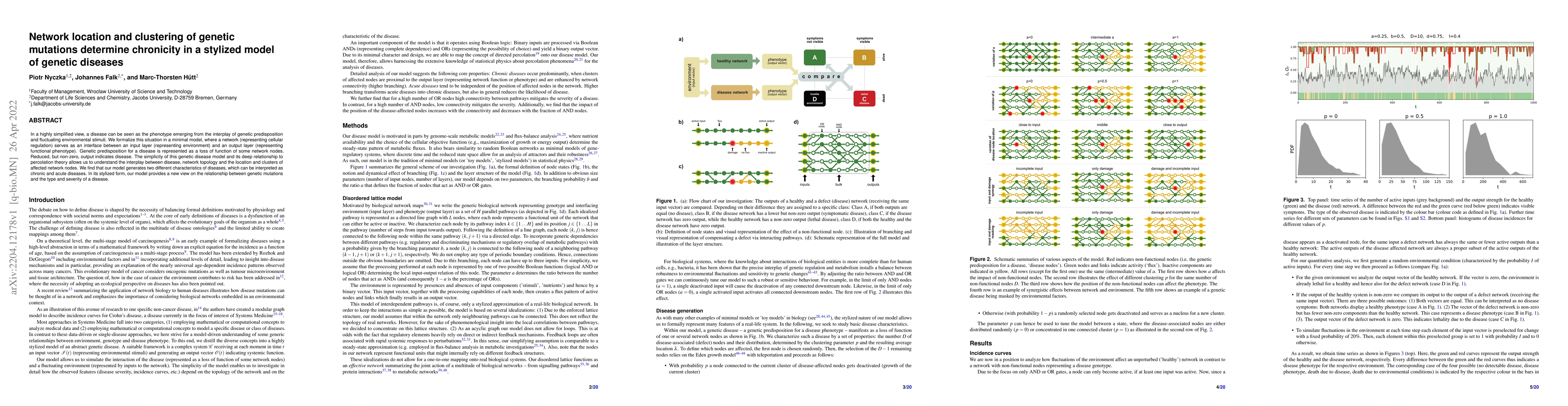 Thumbnail for Network location and clustering of genetic mutations determine
  chronicity in a stylized model of genetic diseases