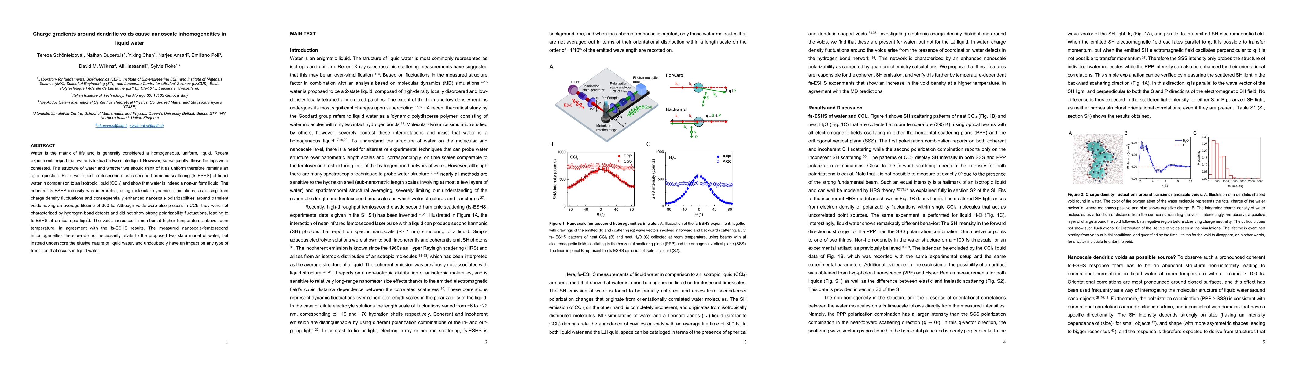 Thumbnail for Charge gradients around dendritic voids cause nanoscale inhomogeneities
  in liquid water