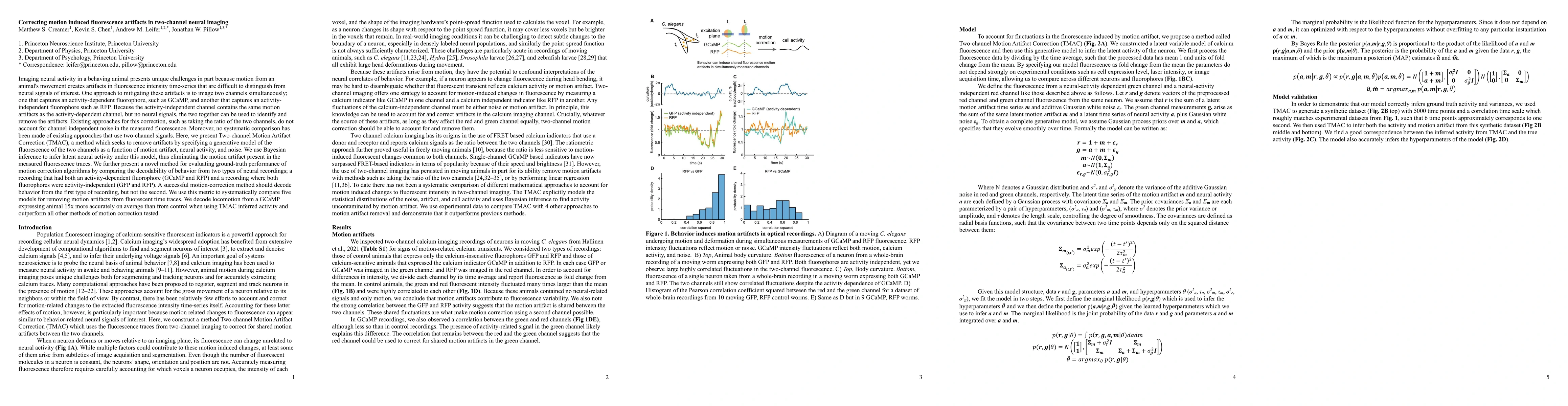 Thumbnail for Correcting motion induced fluorescence artifacts in two-channel neural
  imaging