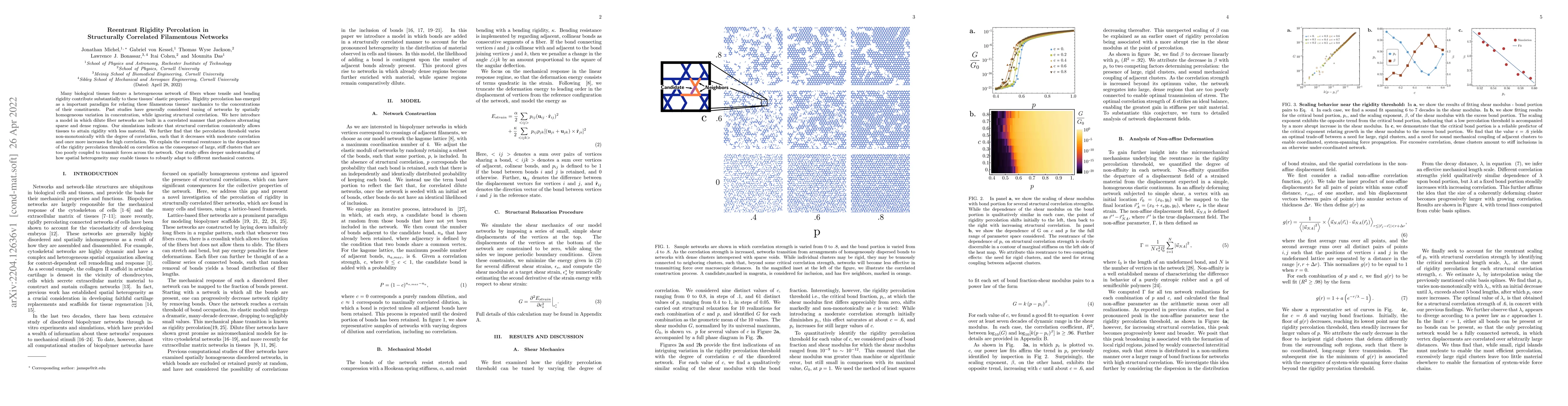 Thumbnail for Reentrant Rigidity Percolation in Structurally Correlated Filamentous
  Networks