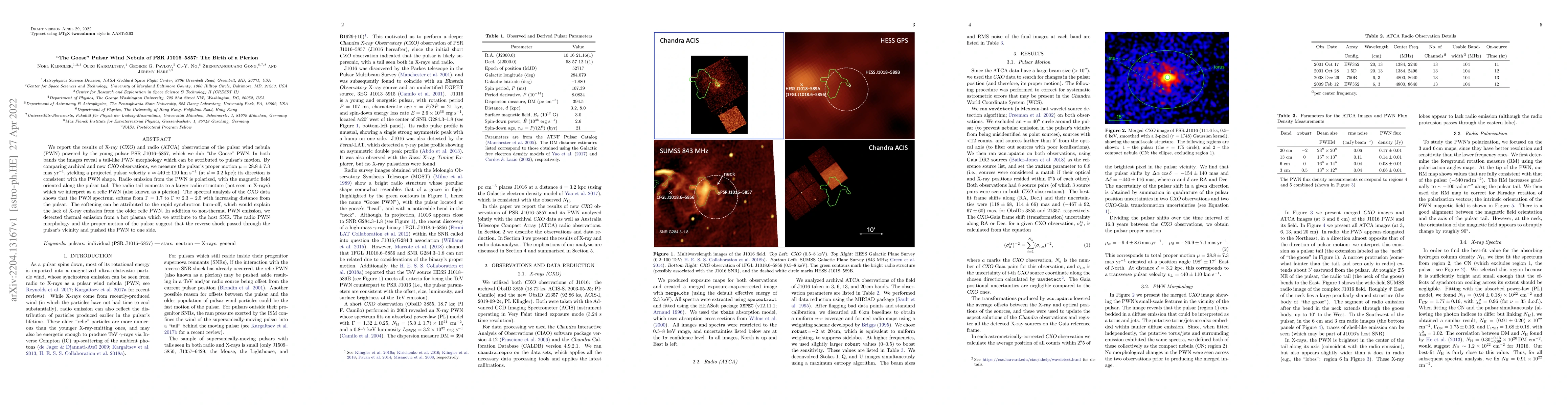 Thumbnail for "The Goose" Pulsar Wind Nebula of PSR J1016-5857: The Birth of a Plerion