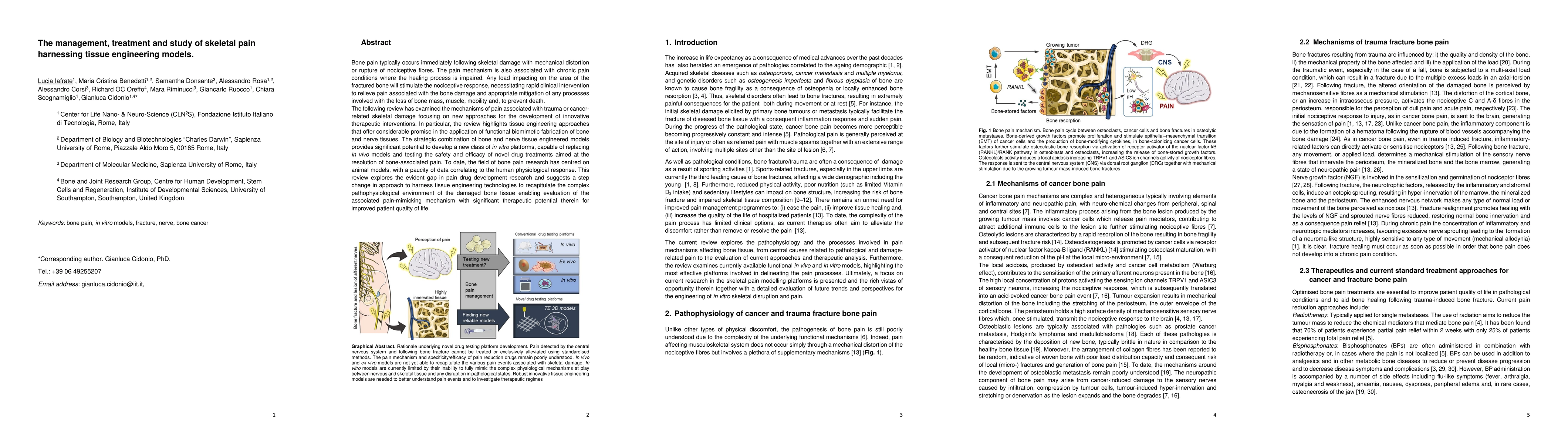 Thumbnail for The management, treatment and study of skeletal pain harnessing tissue
  engineering models