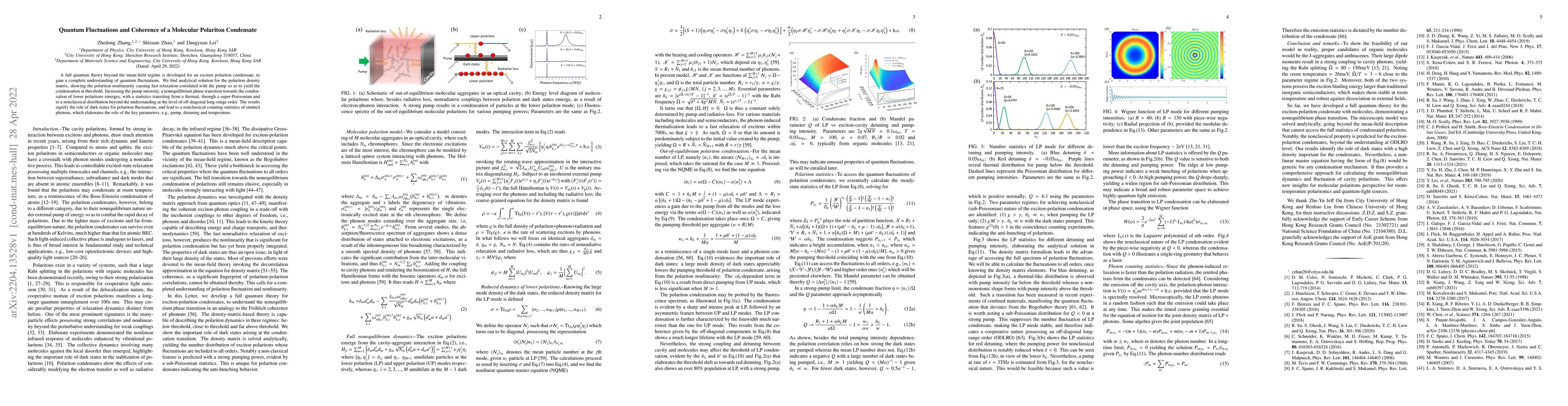 Thumbnail for Quantum Fluctuations and Coherence of a Molecular Polariton Condensate