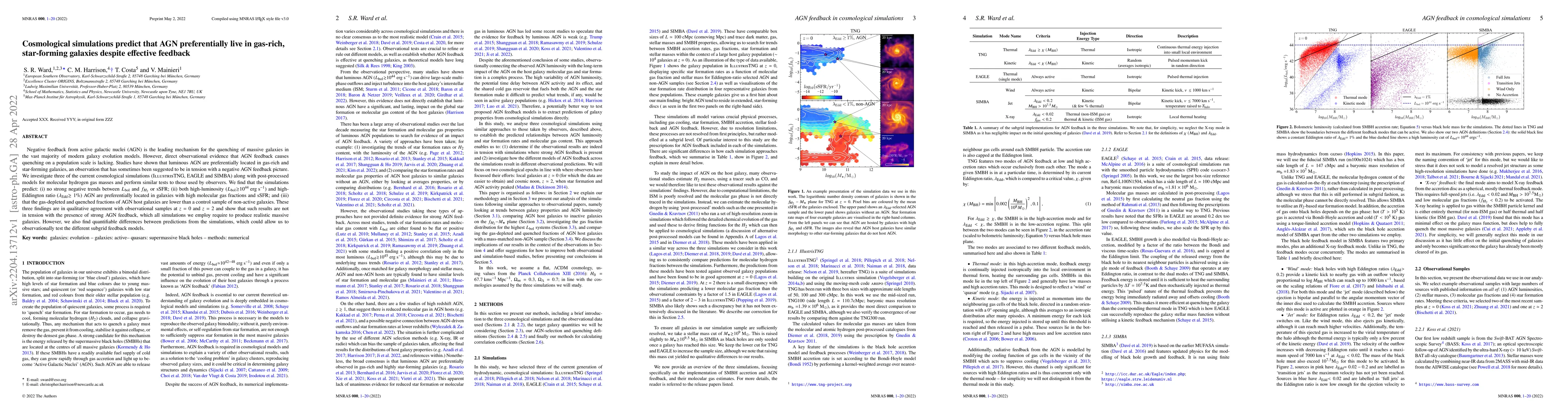 Thumbnail for Cosmological simulations predict that AGN preferentially live in
  gas-rich, star-forming galaxies despite effective feedback