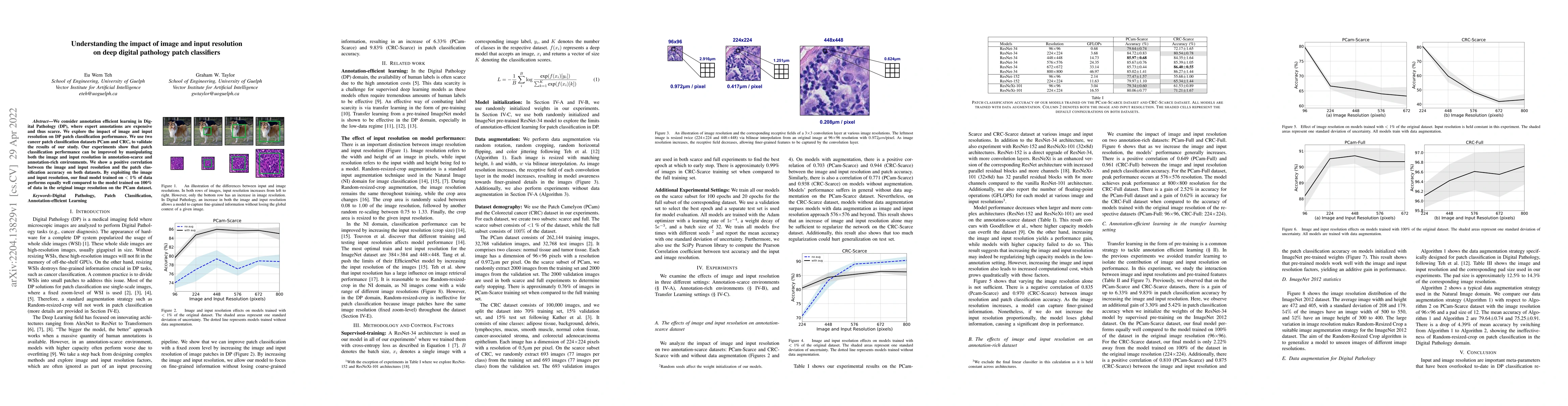 Thumbnail for Understanding the impact of image and input resolution on deep digital
  pathology patch classifiers