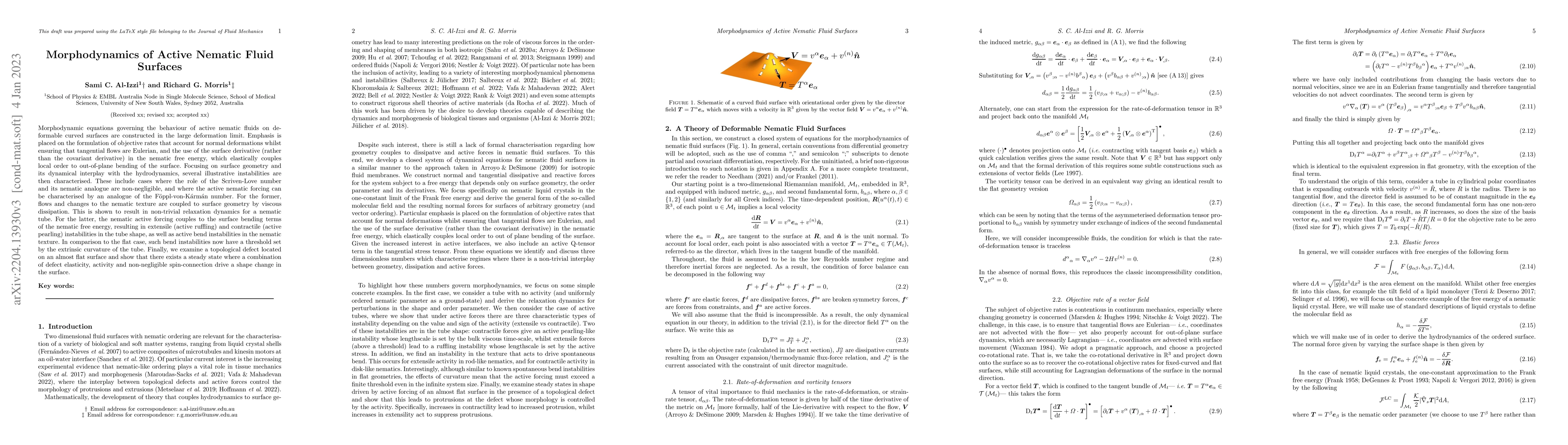 Thumbnail for Morphodynamics of Active Nematic Fluid Surfaces