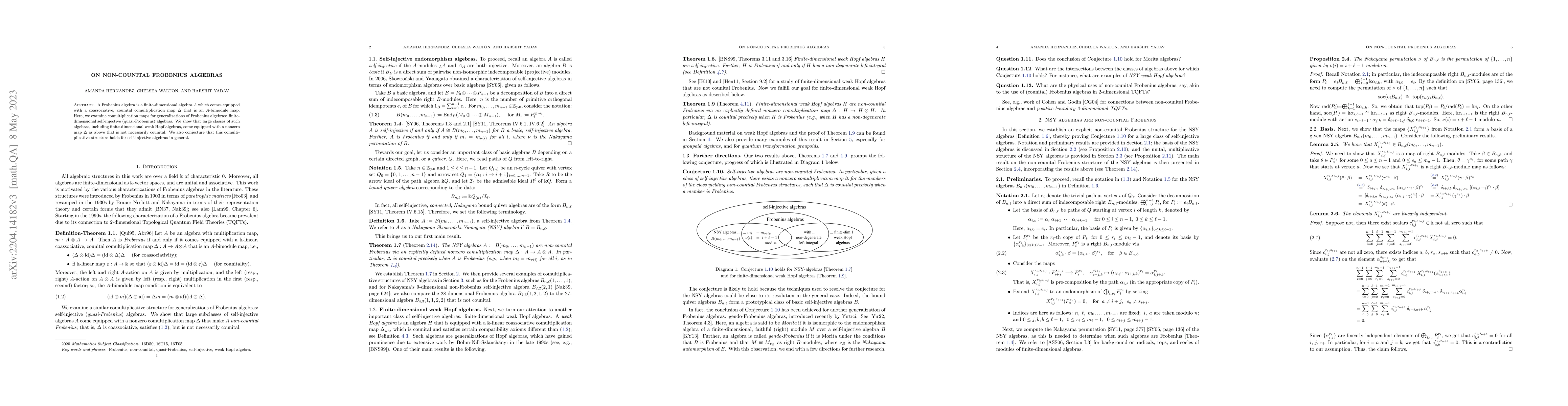 Thumbnail for On non-counital Frobenius algebras
