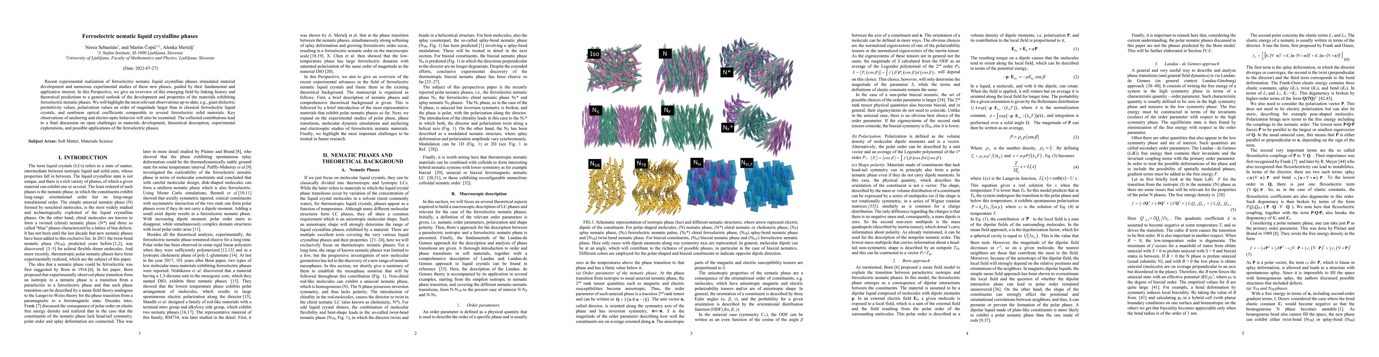 Thumbnail for Ferroelectric nematic liquid crystalline phases
