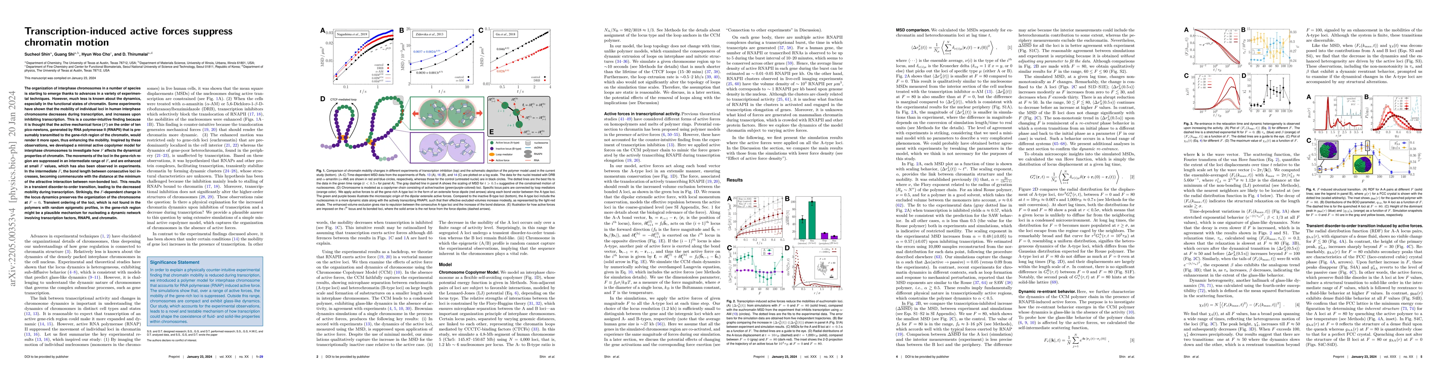 Thumbnail for Transcription-induced active forces suppress chromatin motion